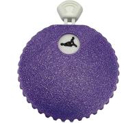 Couples Roulette,Romantic Spinner,Couple Games for Date Night Dice,Funny Date Night Couple Position Selector for Adults,Funny Gifts for Boyfriend Girlfriend (Purple)