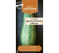 Courgette "Grisette de Provence (Greyzini)" - 1 Pkg
