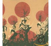 Court and Spark - Ventura Whites