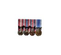 Court Mounted Medal Set, Diamond, Platinum Jubilee and Kings Coronation with Police LSGC EIIR full size replicas