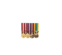 Court Mounted Miniature Medal Set, Diamond, Platinum Jubilee, Kings coronation, Cadet medal EIIR with 2nd Award Bar