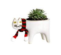 courti Cat Planter,Ceramic Animal Planter Pots, Cute Cat Cactus Flowerpot, Cartoon Animal Ceramic Bonsai Holder Planter Plant Container
