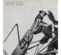 Courtney Barnett - Creature of Habit - CD Album (Released 27th March 2026) New