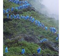 Courtney Barnett - End of the Day (Music From the film Anonymous Club) [VINYL]