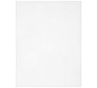 Cousin DIY Plastic Stitching Canvas, 10 Holes per inch, 10.5 inch x 13.5 inch