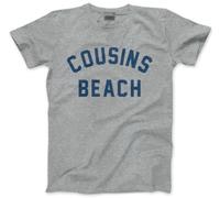Cousins Beach T-Shirt - The Summer I Turned Tshirt Inspired Pretty Tee Summer Top Beach TV Season - L Grey
