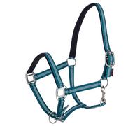 Covalliero Mustang Headcollar, Horse Headcollar, Turquoise, Polyamide, Pony, Horses, 2-Way Adjustable, Suitable for Lead Rope Mustang (Size 5)