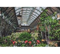 Covent Garden’s Hidden Gems: A Self-Guided Walking Tour