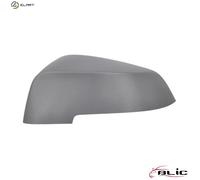 BLIC 6103-05-1637310P Wing mirror cover