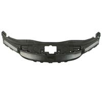 Cover Tape Fits: CHRYSLER 300 C II 10.14-