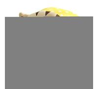 Covered Pet Shelter | Cozy Puppy with a Detachable Machine Washable Pad | Closed Kitten Bed for Small Animals, Waterproof Non-Slip Floor Mat