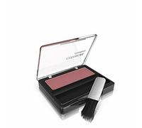 COVERGIRL Cheekers Blendable Powder Blush Rock 'n Rose, .12 oz (packaging may vary), 1 Count