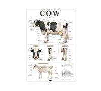 Cow Anatomy Cattle Chart Farm Animal Veterinary Farmer Livestock Art Poster Canvas Poster for Home Decor Gift