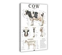 Cow Anatomy Cattle Chart Farm Animal Veterinary Farmer Livestock Art Poster Canvas Poster for Office Decor Gift
