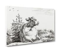 Cow At Rest By Jean Bernard Canvas Print | Gallery Wrapped 30mm Frame Wall Art | 24x16 inches | Ready to Hang | Retro Animals Picture | Living Room Bedroom Lounge Office
