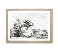 Cow at Rest by Jean Bernard Framed Print | A2 Oak Framed Wall Art | Ready to Hang | Modern Animal Picture | Living Room Bedroom Lounge Office