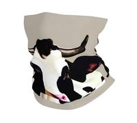 Cow Black Spot Print Headband Neck Gaiter Head Wrap Headwear