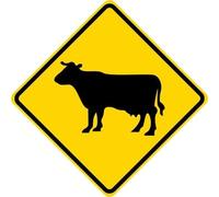 COW CATTLE CROSSING SYMBOL Road Square/Round Metal Sign 12x12 inch
