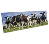 Cow Field Farm Herd Multi-Coloured CANVAS WALL ART Panoramic Framed Print Picture - 54 inch x 18 inch (20mm deep frame)