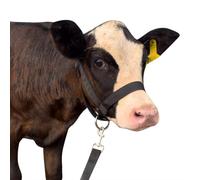 Cow Halter Cattle Halters Calf Halter with Leading Rope，Adjustable Nylon Livestock Cattle Halter，for Miniature Horse Donkey Goat Foal (Black, Large)