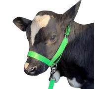 Cow Halter Cattle Halters Calf Halter with Leading Rope，Adjustable Nylon Livestock Cattle Halter，for Miniature Horse Donkey Goat Foal (Green, Small)