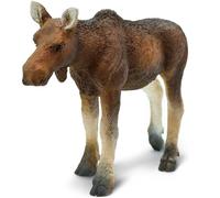 Cow Moose