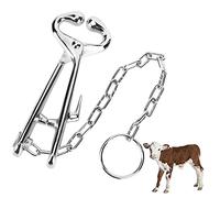 Cow Nose Lead with Steel Chain, Cattle Nose Lead for Vaccination and Eartagging, Heavy - Duty Galvanized Forged Steel Restraint Tool with Auto - Lock for Farm Use
