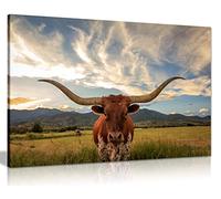 Cow Prints Longhorn Steer Animal Wildlife Canvas Wall Art Picture Print (30x20)