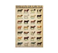 Cow retro art, breed knowledge poster, home, educational canvas 12x18inch(30x45cm)