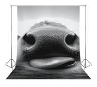 Cow Sticking Out It Tongue Funny Photography Backdrops Photo Background for Photoshoot Easter Halloween Birthday Party