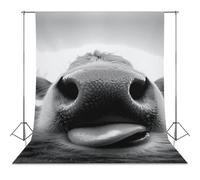 Cow Sticking Out It Tongue Funny Photography Backdrops Photo Background for Photoshoot Easter Halloween Birthday Party