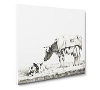 Cow with its Calf by Jean Bernard Canvas Print | Gallery Wrapped 30mm Frame Wall Art | 20x20 inches | Ready to Hang | Modern Animals Picture | Living Room Bedroom Lounge Office