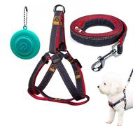 COWANIEE 2 Pcs Double Ended Lead for Dogs Set, Doube Clip Leads with Dog Harness Led Light Pendant (Red)
