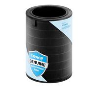 COWAY Airmega 450 Genuine Replacement Filter, HEPA Filter and Activated Carbon, Intense Smoke Plus
