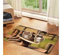 Cowgirl Boots Hat in Farms print Cats Pet Bowl Placemat Pet Feeding Mats for Dogs, Non-Slip PU Leather Tablecloth for Pets