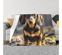 COWMGHLDFL Flannel Blankets 40"x30" Bed Blanket for Sofa A cute dachshund Throw Blanket Soft Cozy Plush Blanket for Couch Camping All Seasons