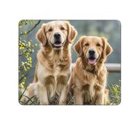 COWMGHLDFL Mousepad Golden Retrievers Mouses Mat for Wireless Mouses Computer Keyboard Mat with Non-Slip Rubber Gaming Desk Pad Square Desk Mat for Office Laptop