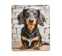 COWMGHLDFL Mousepad Long haired Dachshund Mouses Mat for Wireless Mouses Computer Keyboard Mat with Non-Slip Rubber Gaming Desk Pad Square Desk Mats for Office Laptop