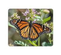 COWMGHLDFL Mousepad Monarch Butterfly Mouses Mat for Wireless Mouses Computer Keyboard Mat with Non-Slip Rubber Gaming Desk Pad Square Desk Mat for Office Laptop