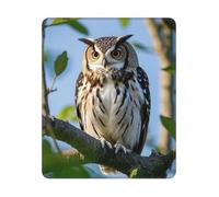 COWMGHLDFL Mousepad Owl on a branch Mouses Mat for Wireless Mouses Computer Keyboard Mat with Non-Slip Rubber Gaming Desk Pad Square Desk Mat for Office Laptop