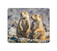 COWMGHLDFL Mousepad Two Prairie Dogs Mouses Mat for Wireless Mouses Computer Keyboard Mat with Non-Slip Rubber Gaming Desk Pad Square Desk Mat for Office Laptop
