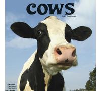 Cows 2025 Square Wall Calendar NEW