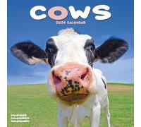Cows 2026 Calendar | Square Wall Calendar | Farm Animal Gift | Plastic Free Packaging | by Avonside Publishing