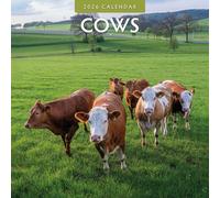 Cows - 2026 Square Wall Calendar - by Red Robin Publishing
