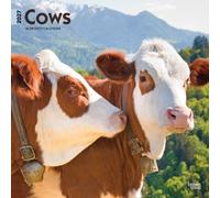 Cows 2027 12 X 24 Inch (Hanging) Monthly Square Wall Calendar Plastic-Free: Original BrownTrout-Kalender [Mehrsprachig] [Kalender]