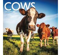 Cows Calendar 2025: A Year-Long Journey with Nature’s Gentle Giants!