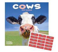 Cows Calendar 2026 | Square Wall Calendar | 16 Month | with Free Organisational Stickers, Cows Gift