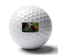 Cows Calfs on The Grass Golf Balls for Men Golfers Distance Straighter Shots Funny Ball