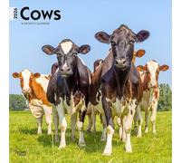 Cows - Kühe 2026 - 16-Monatskalender: Original BrownTrout-Kalender [Mehrsprachig] [Kalender]