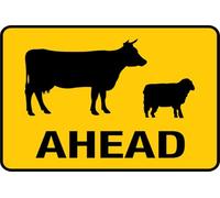 Cows Sheep Ahead 6 X 8 Inches Fade Resisting Signs for Office and Home